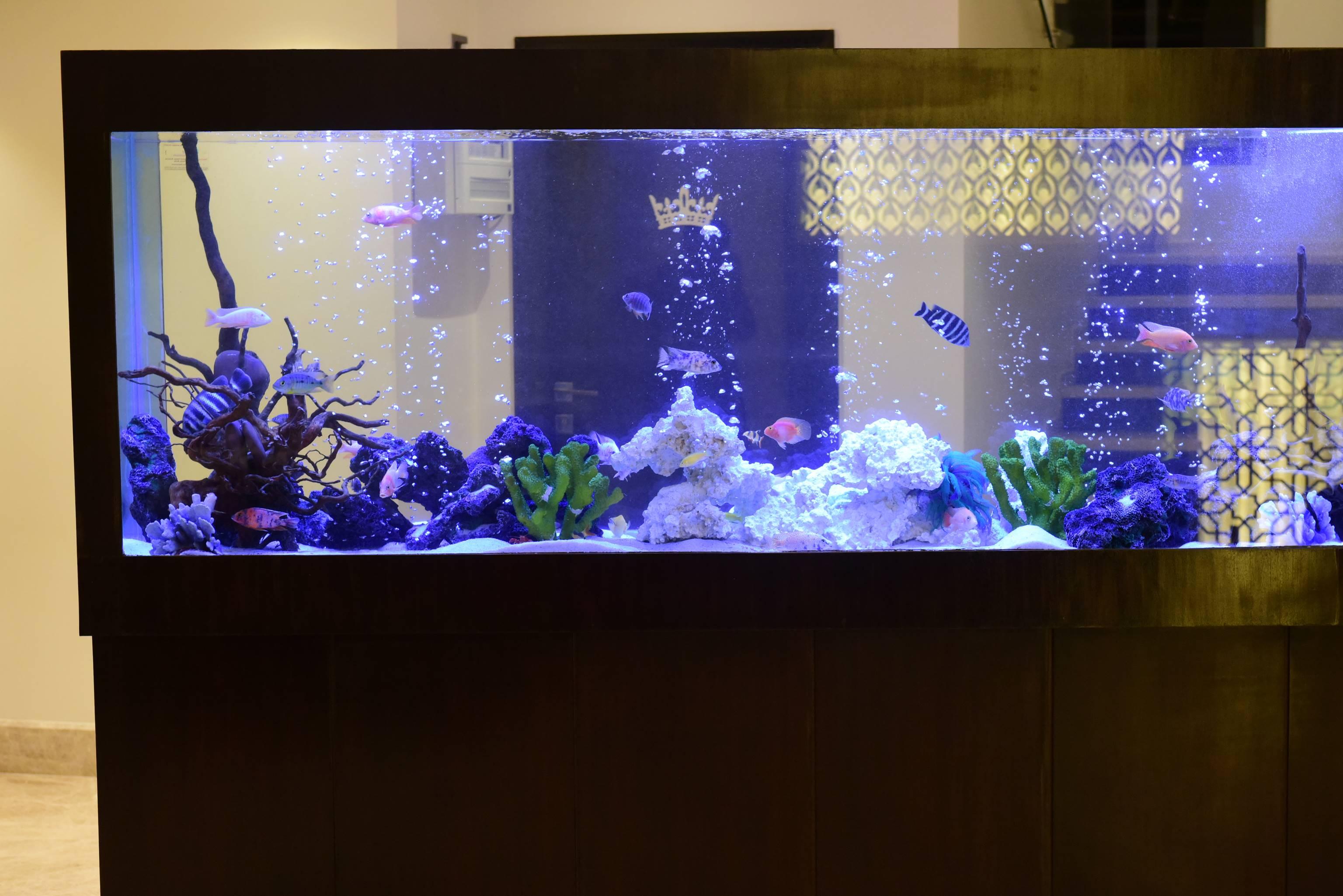 מלון Vāsco Da Gāma The Flora Grand, Vasco, Goa מראה חיצוני תמונה